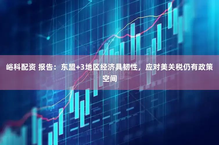 峪科配资 报告：东盟+3地区经济具韧性，应对美关税仍有政策空间
