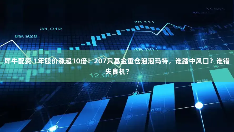 犀牛配资 1年股价涨超10倍！207只基金重仓泡泡玛特，谁踏中风口？谁错失良机？