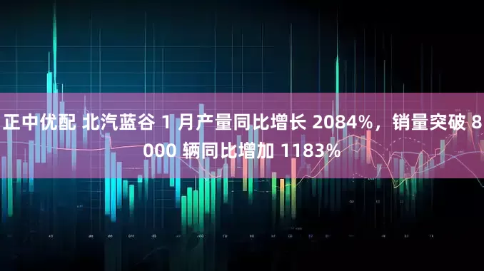 正中优配 北汽蓝谷 1 月产量同比增长 2084%，销量突破 8000 辆同比增加 1183%